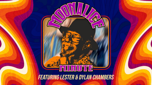 New Video Series: Moonalice Minute