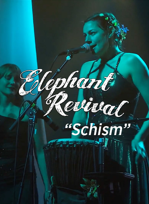 Elephant Revival Live – “Schism” (Tool Cover)